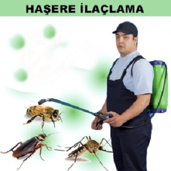 Elbistan Böcek İlaçlama